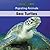 Sea Turtles