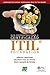 Guia Preparatório para a Certificação ITIL FOUNDATION by Jefferson Lisboa Melo