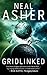 Gridlinked (Agent Cormac #1)