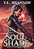 Soul Shade (Soul Stones, #2)
