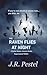 The Raven Flies at Night by J.R. Pestel