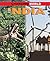 India (Changing World)