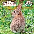 Rabbits