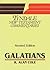 Galatians (Tyndale commentaries series)