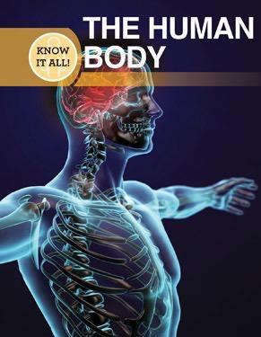 The Human Body (Know It All)