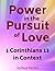 Power in the Pursuit of Lov...