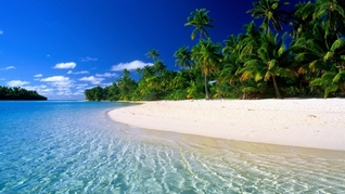 Surviving Sand Island