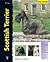 Scottish Terrier