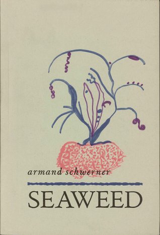 Seaweed