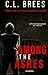 Among the Ashes