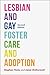 Lesbian and Gay Foster Care and Adoption