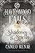 Shadows & Spells (Havenwood Falls High, #15)