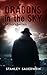 Dragons in the Sky by Stanley Sauerwein