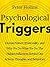 Psychological Triggers: Human Nature, Irrationality, and Why We Do What We Do. The Hidden Influences Behind Our Actions, Thoughts, and Behaviors. (Understand Your Brain Better Book 3)