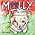 Molly, the Dog with Diabetes