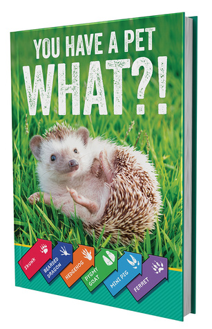 Carson Dellosa — You Have a Pet What?! Book for Kindergarten, 1st, 2nd, 3rd Grade, 192 Pages
