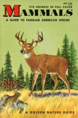 Mammals: A Guide to North American Species (Paperback)