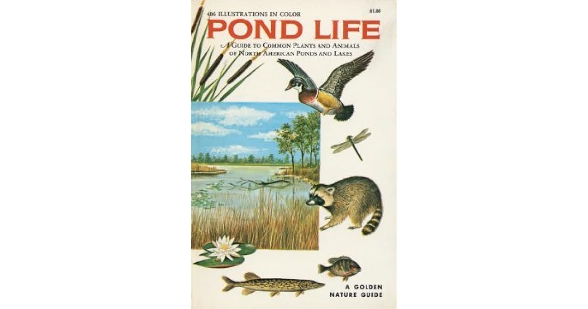 Pond Life A Guide to Common Plants and Animals of North American Ponds