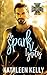 The Spark Ignites (Mackenny Brothers, #1)