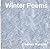 Winter Poems