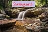 செங்குளம்