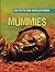 Mummies (100 Facts You Should Know)