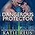 Dangerous Protector (Red Stone Security, #14)