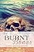 The Burnt Bones by C.S. Patra
