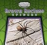 Brown Recluse Spiders (Dangerous Spiders) Brown Recluse Spiders (Dangerous Spiders)