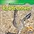 Roadrunners (Animals That Live in the Desert)