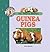101 Facts About Guinea Pigs...