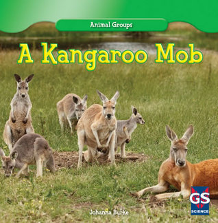 A Kangaroo Mob (ebook)
