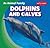 Dolphins and Calves (An Animal Family)