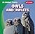 Owls and Owlets (An Animal Family)