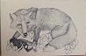 3 Day Fox  by Katherine Dunn