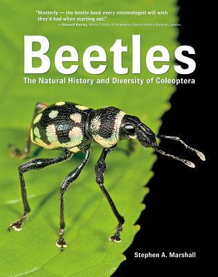 Beetles: The Natural History and Diversity of Coleoptera (Hardcover)