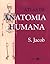 Atlas De Anatomia Humana