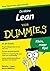 De kleine lean voor dummies