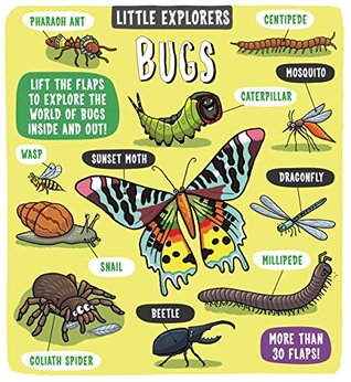 Little Explorers Bugs (Hardcover)