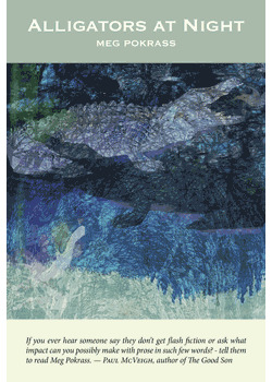 Alligators at Night (Paperback)