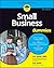 Small Business For Dummies