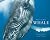 Beautiful Whale