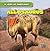 Allosaurus (A Look at Dinosaurs)