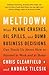 Meltdown: What Plane Crashes, Oil Spills, and Dumb Business Decisions Can Teach Us About How to Succeed at Work and at Home