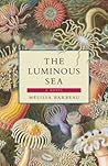 The Luminous Sea by Melissa Barbeau