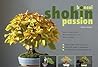 Bonsai Shohin Passion english