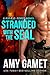 Stranded with the SEAL (HERO Force #1)