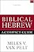 Biblical Hebrew: A Compact Guide