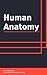 Human Anatomy