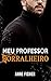 Meu Professor Borralheiro (Meu Mocinho Encantado Livro 3) by Anne Fisher